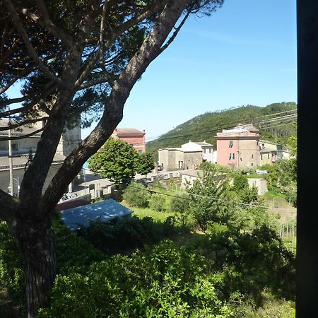 Hotel Silvia Framura - Cinque Terre Exteriör bild