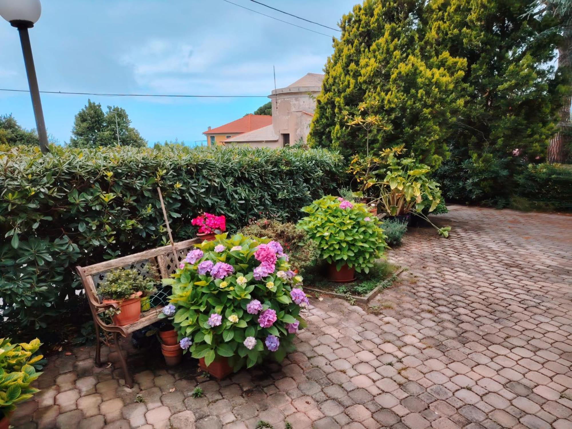 Hotel Silvia Framura - Cinque Terre Exteriör bild