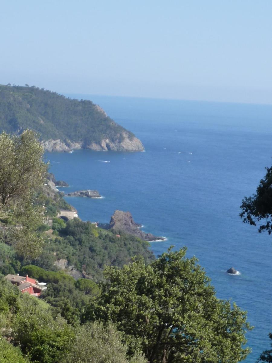 Hotel Silvia Framura - Cinque Terre Exteriör bild