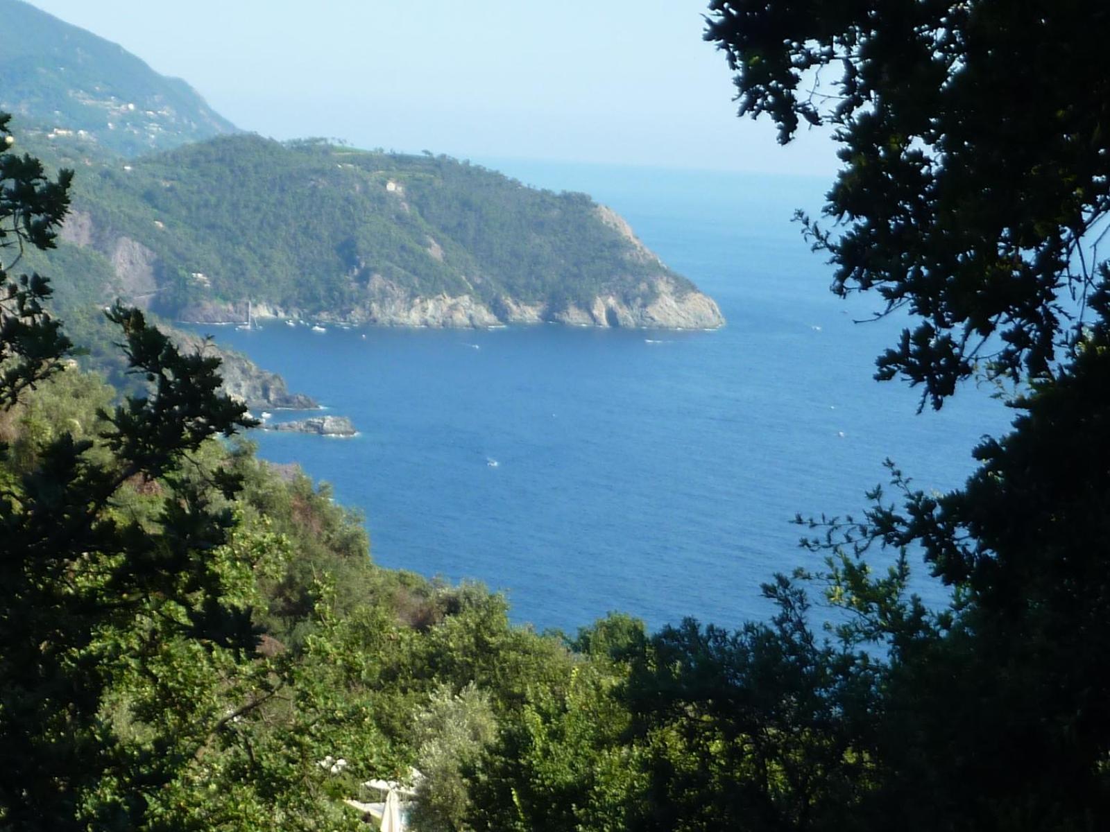 Hotel Silvia Framura - Cinque Terre Exteriör bild